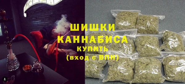 соль ск Касимов