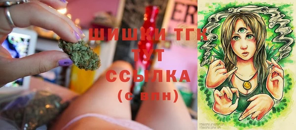 соль ск Касимов