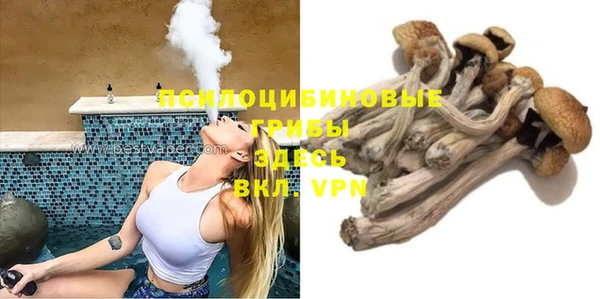 соль ск Касимов