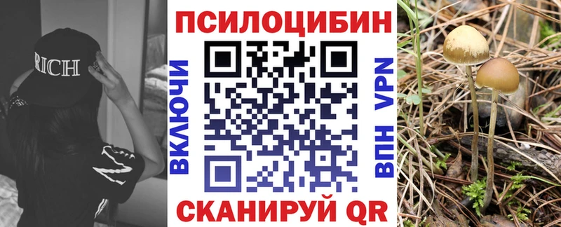 Псилоцибиновые грибы Magic Shrooms  Купить закладки  Нестеров 