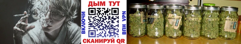 Купить  Нестеров  Марихуана SATIVA & INDICA 